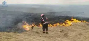 Фото: ГУ ДСНС у Чернівецькій області
