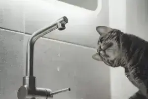 Відключення води