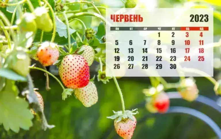 16 червня свято