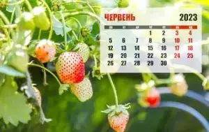 16 червня свято