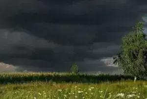На Буковині оголосили штормове попередження
