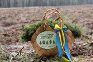На Буковині в рамках президентської програми «Зелена країна» створять 9 гектарів нових лісів