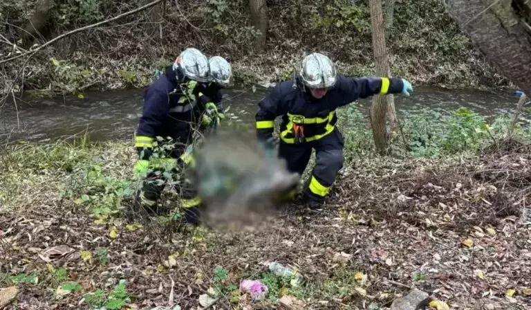 Фото: прес-служба ДСНС Чернівецької області