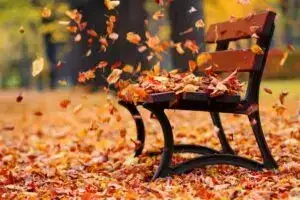 20 листопада – яке свято / Фото: ye.ua