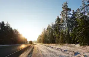 Дорога / Фото: freepik.com