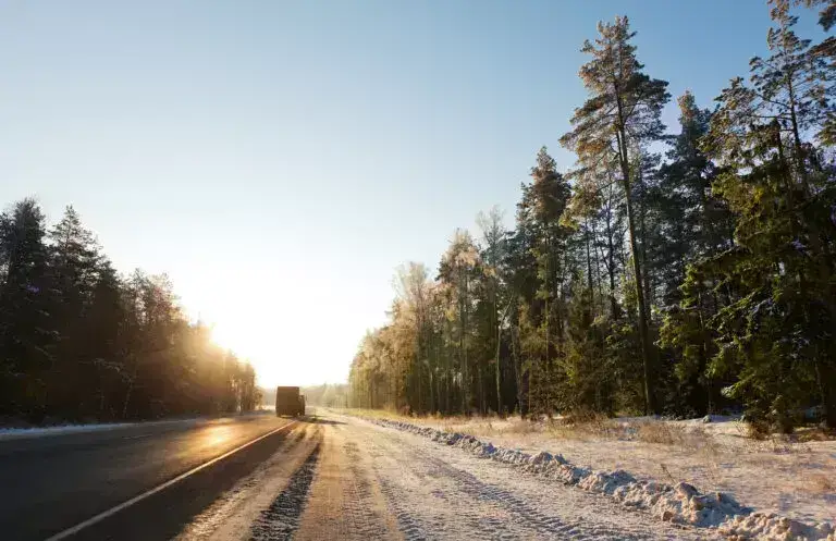 Дорога / Фото: freepik.com