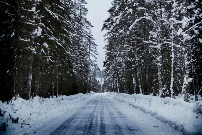 Прогноз погоди у Чернівцях / Фото: Sindre Fs / Pexels.com
