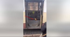 У Чернівцях загорівся тролейбус №5 / Фото: кадр з відео