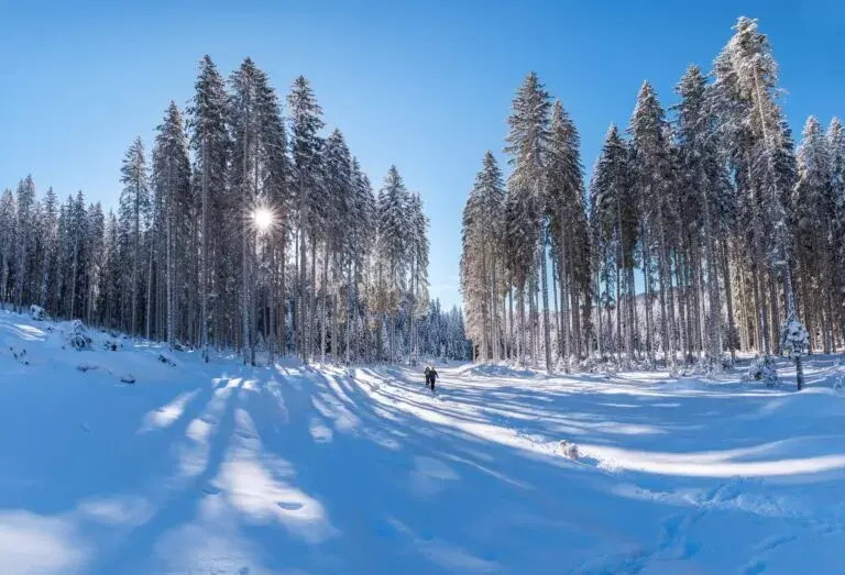 В Україну йдуть 25-градусні морози / Фото: Krivec Ales /pexels.com