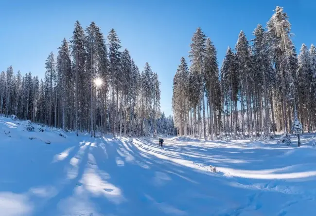 В Україну йдуть 25-градусні морози / Фото: Krivec Ales /pexels.com