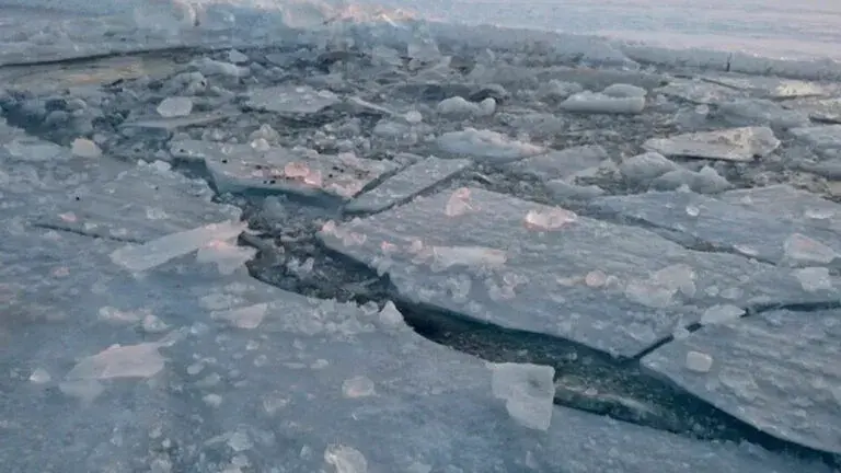 Лід