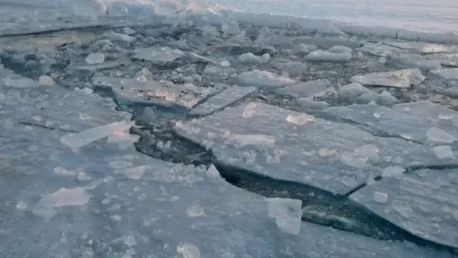 Лід