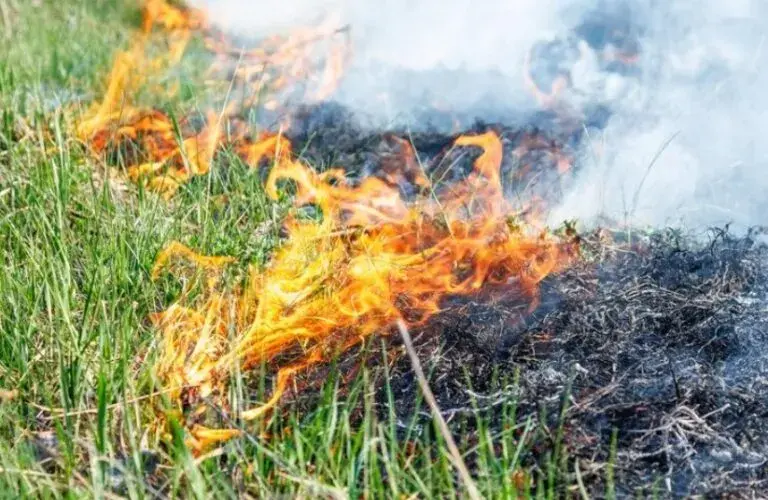 За добу на Буковині ліквідували 5 пожеж