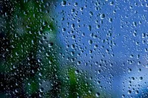 12 вересня у Чернівцях прогнозують дощ