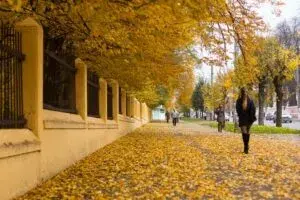 Куди піти у Чернівцях на вихідних