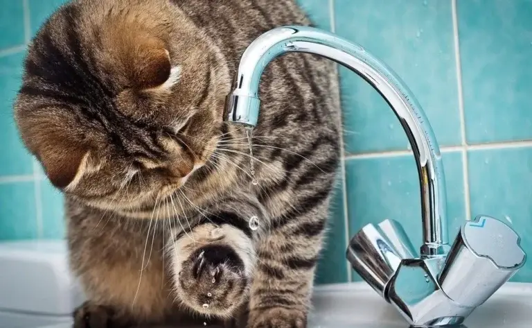 Відключення води