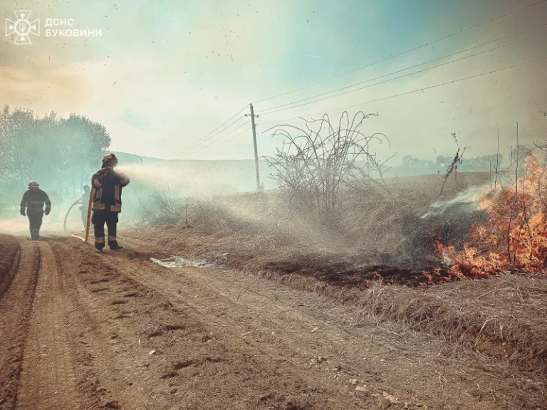 Пожежі на Буковині