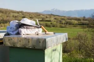 Яку сітку для вуликів вибрати? Поради для пасічників