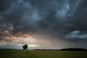 Чернівці та область накриють грози