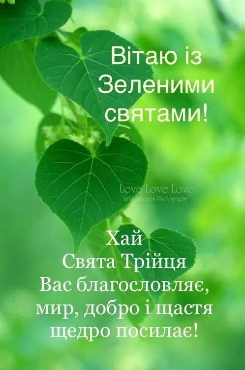 Трійця 2025: теплі привітання Трійця 2025: теплі привітання