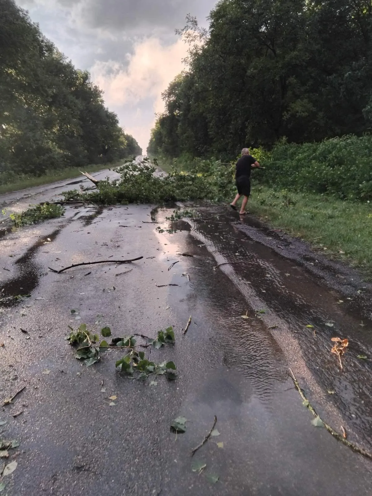 Буковиною пройшовся буревій