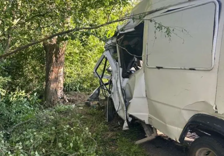 У Вижницькому районі водій на швидкості влетів у дерево
