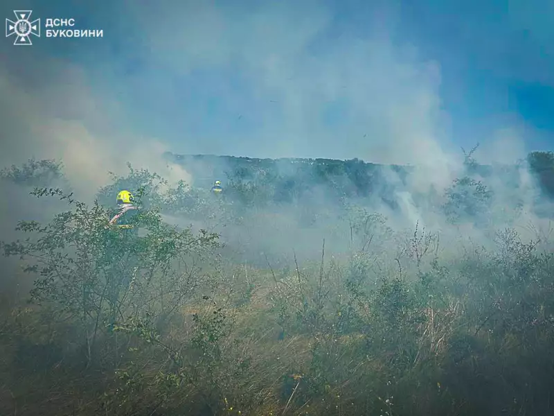 На Буковині невідомі скоїли підпал трави