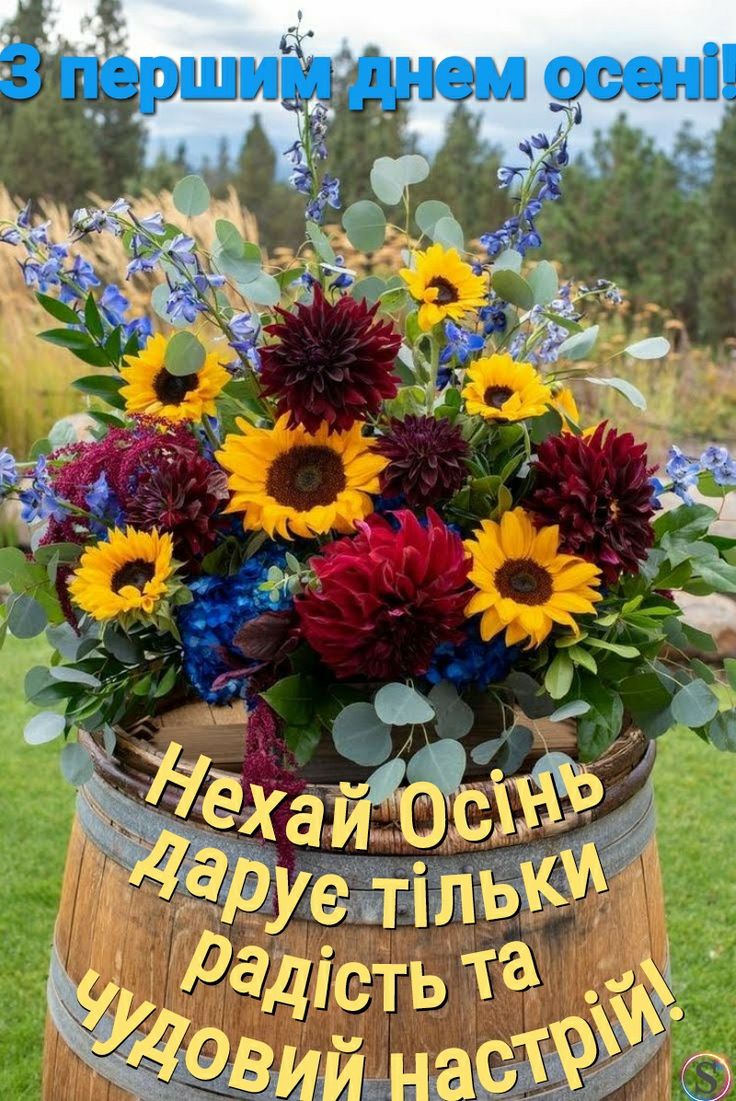 Красиві привітання з 1 вересня - Днем знань: картинки та листівки