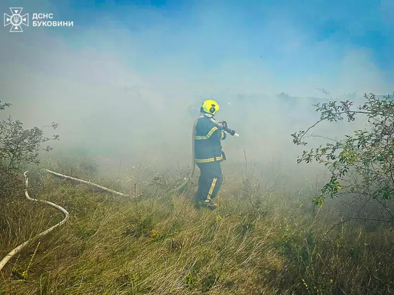 На Буковині невідомі скоїли підпал трави
