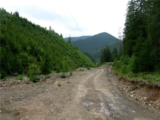 Гірська дорога
