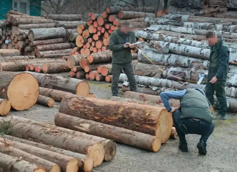 Заборонена деревина