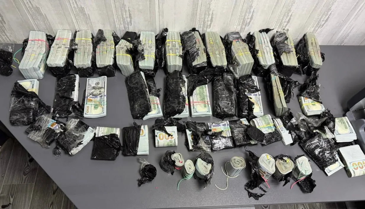 Майже мільйон доларів готівкою: митники на Буковині завадили незаконному вивезенню валюти