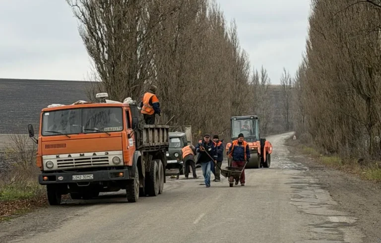 Селяни на Буковині самотужки відремонтували дорогу