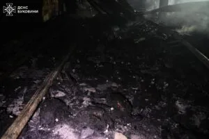 На Буковині в пожежі загинуло 5 000 курей: ДСНС