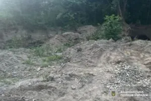 На Буковині троє братів-нелегалів напали на правоохоронців