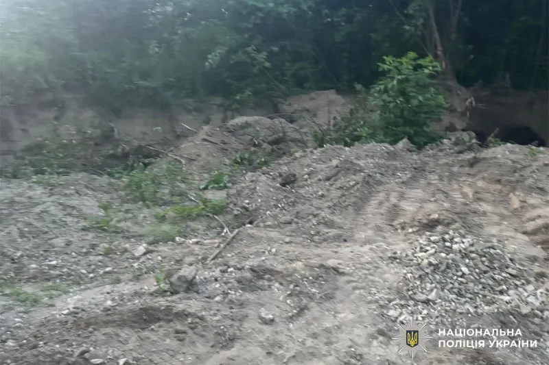 На Буковині троє братів-нелегалів напали на правоохоронців