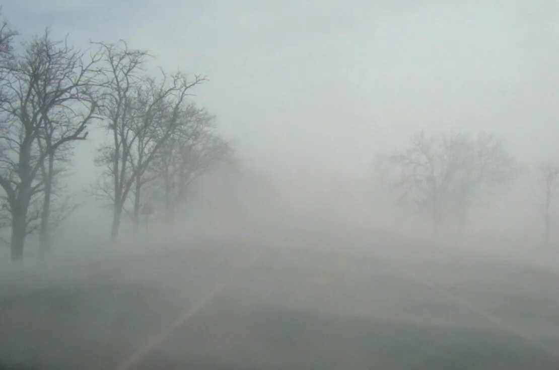 Чернівці накриє густий туман: водіїв та пішоходів просять бути обережними