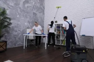 Насекомых и следа не будет: сделайте это во время генеральной уборки