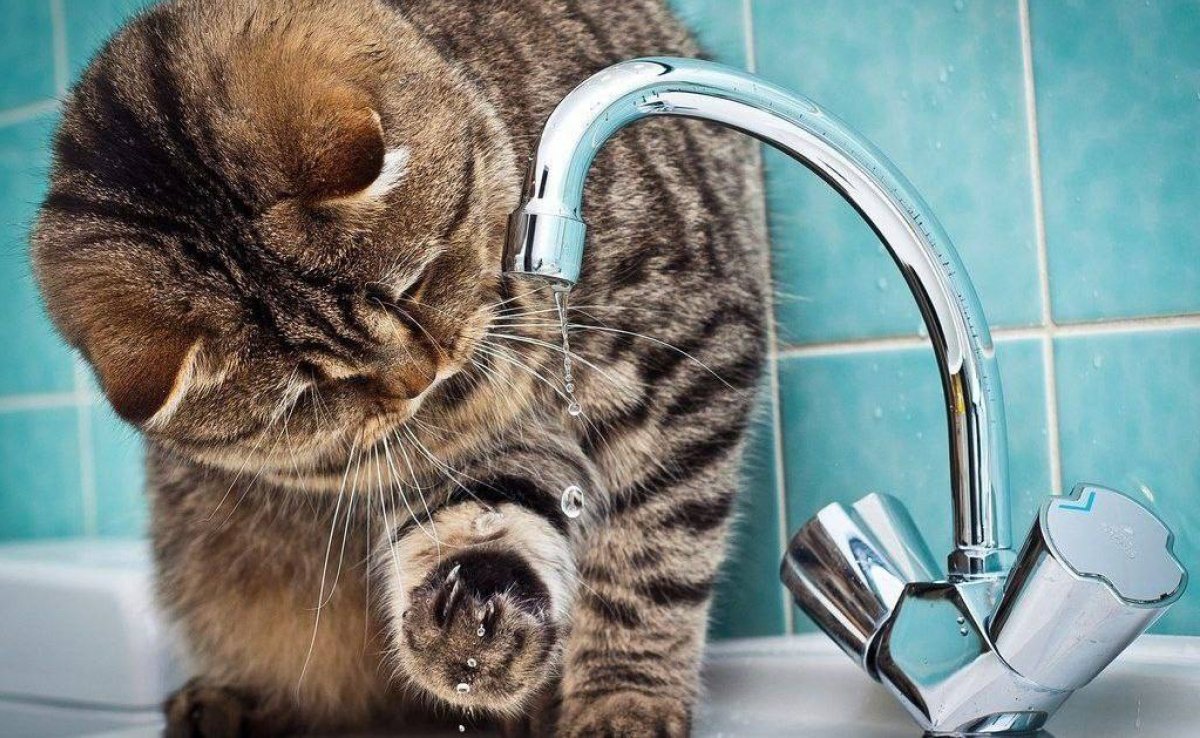 Десятки вулиць у Чернівцях залишаться без води до вечора