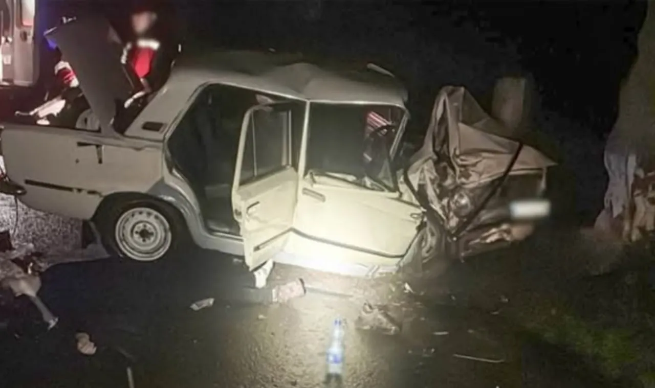 Смертельний удар у дерево: на Буковині у ДТП загинула жінка