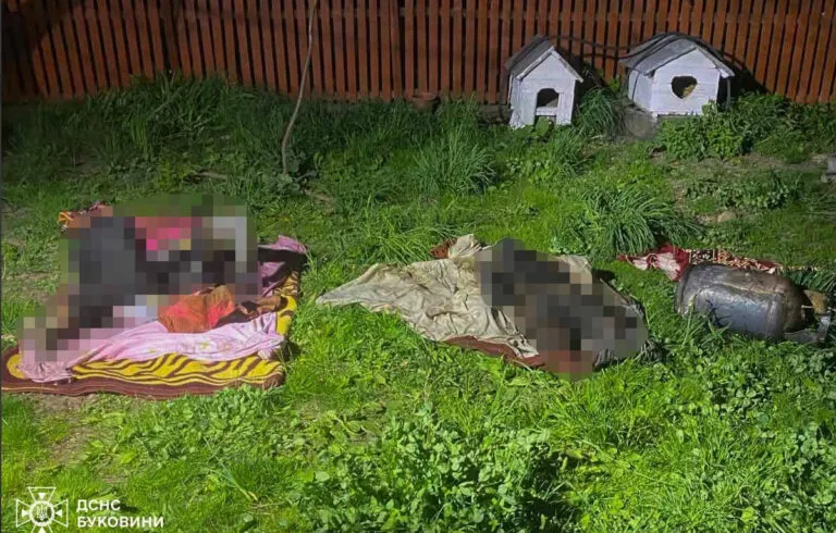 Дві людини згоріли у будинку під час пожежі на Буковині