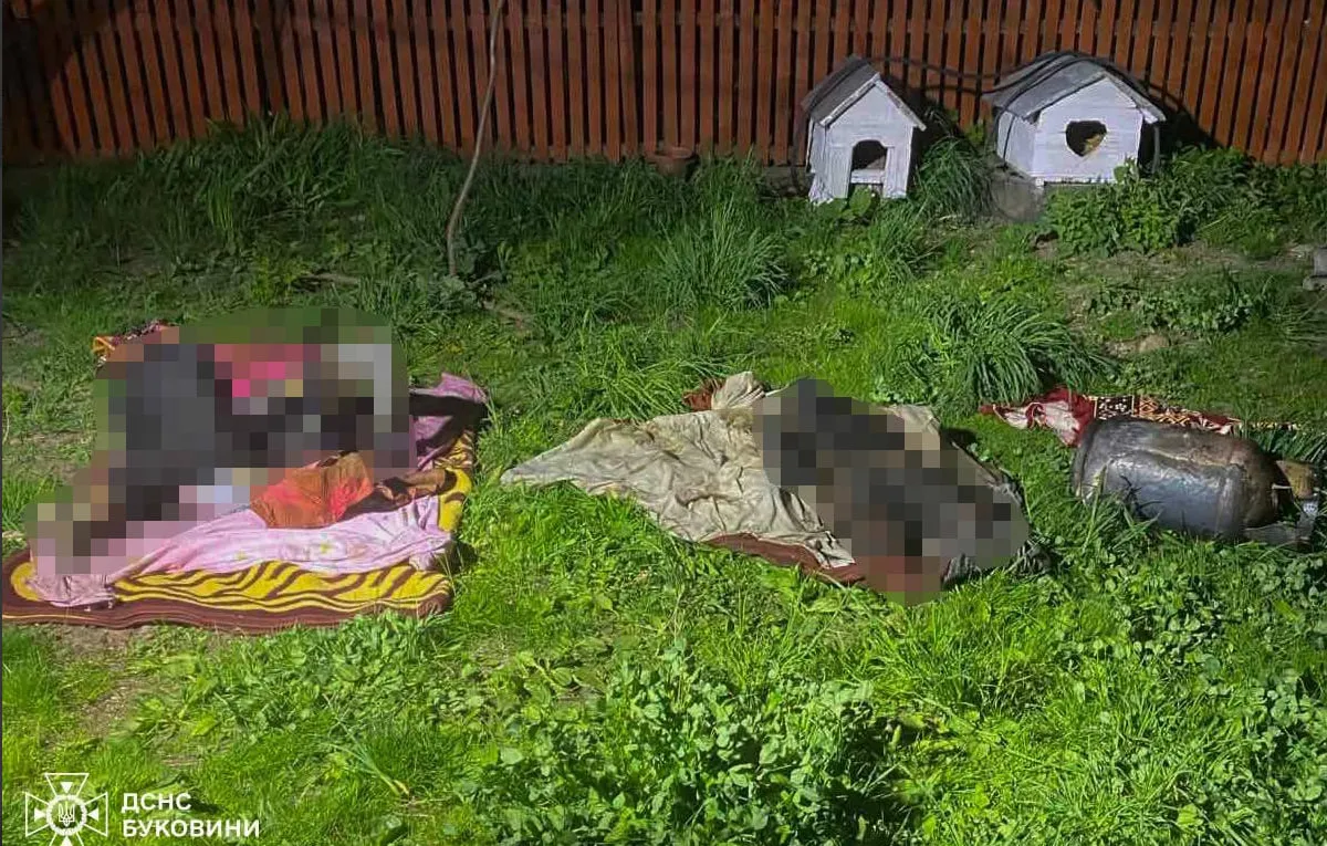 Дві людини згоріли у будинку під час пожежі на Буковині