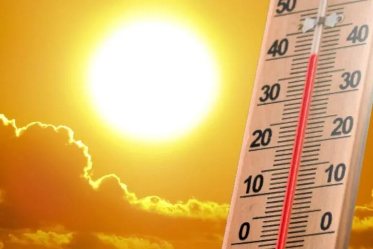 Аномальна спека йде на Буковину: цими вихідними очікується до +40°C