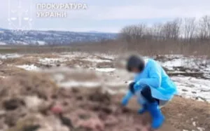 Викинули тваринні відходи посеред поля: на Буковині забруднили землі