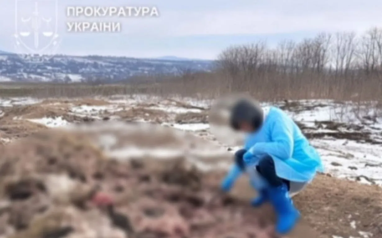 Викинули тваринні відходи посеред поля: на Буковині забруднили землі