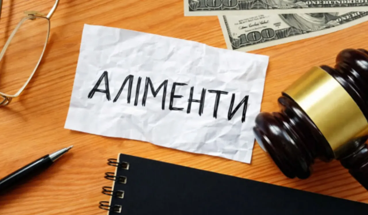 Батько-боржник із Чернівців хотів уникнути виплати 91 тисячі аліментів