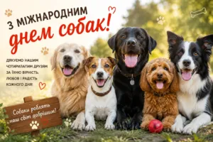 Привітання з Міжнародним днем собак 2026: своїми словами, у прозі та в картинках