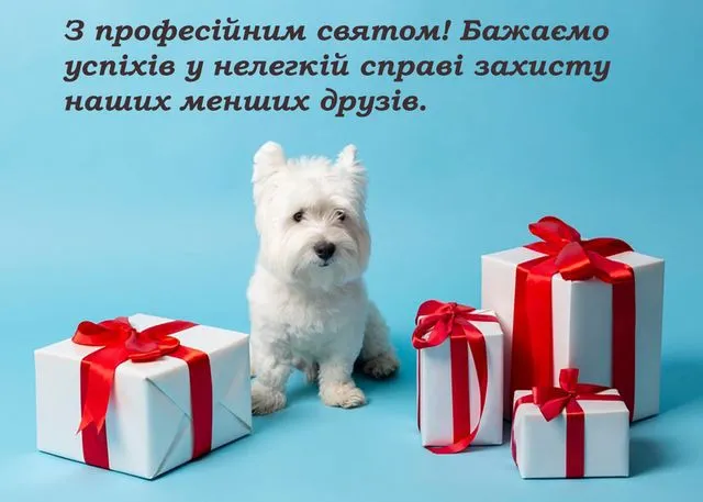 Привітання з Днем ветеринара 2026: красиві картинки та щирі слова до свята
