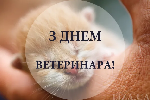 Привітання з Днем ветеринара 2026: красиві картинки та щирі слова до свята