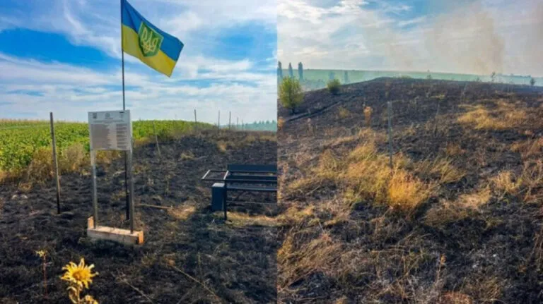 Утретє згоріли дуби, висаджені на честь загиблих захисників Буковини